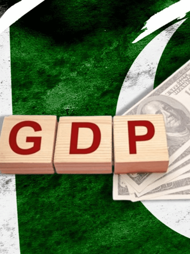 Pakistan GDP से आगे निकलीं भारत की दिग्गज कंपनियां — VNX Report