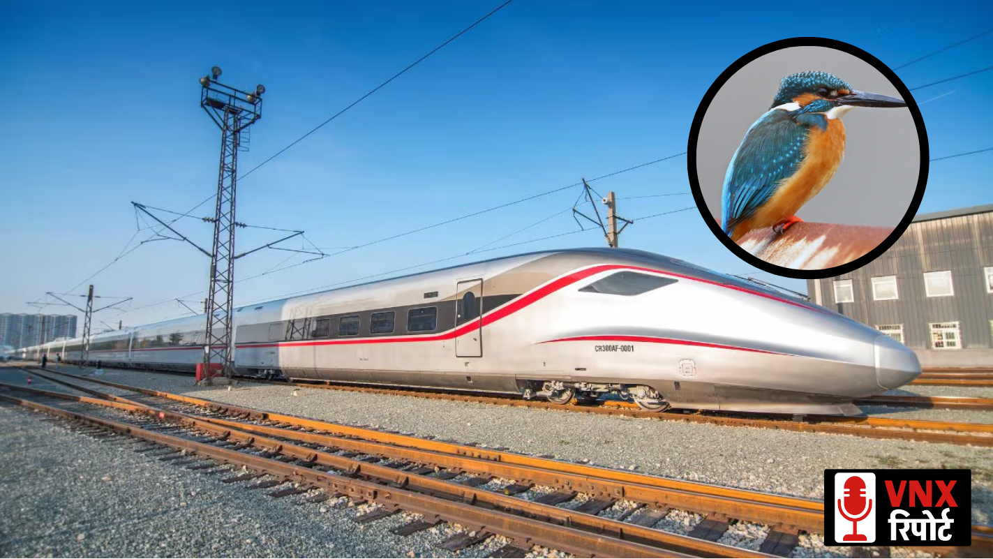 Bullet Train का ‘चिड़िया जैसी चोंच’ वाला आगे का हिस्सा: डिजाइन के पीछे की अनोखी साइंस